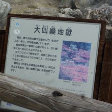 地球の息吹きが感じられる