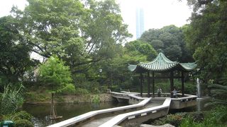 都会のオアシス