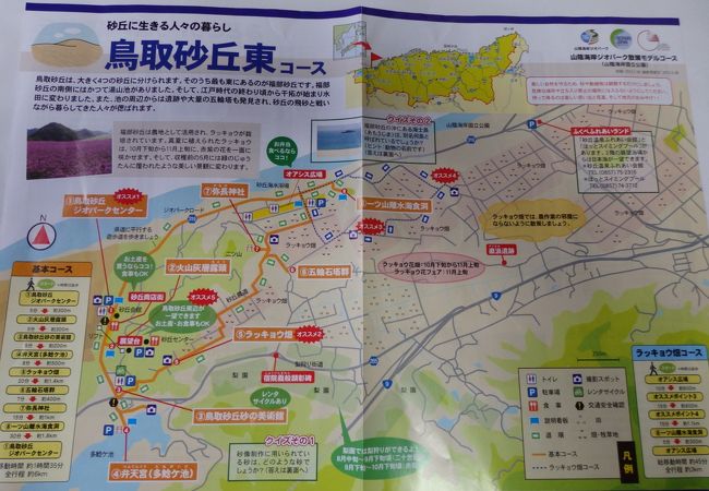 鳥取砂丘オアシス広場 クチコミ アクセス 営業時間 鳥取市 フォートラベル 鳥取砂丘オアシス広場 クチコミ アクセス 営業時間 鳥取市 フォートラベル