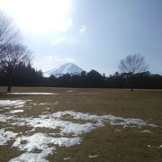 富士山が見れる芝生の公園