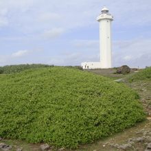 灯台には上がったことがありません