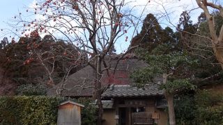 絶好の写真スポット！