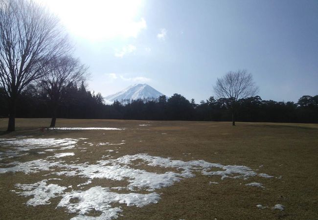 富士山が見れる芝生の公園