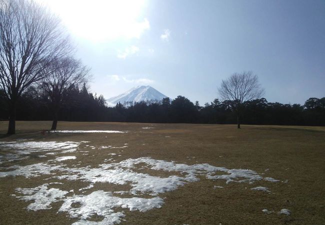 富士パインズパーク クチコミ アクセス 営業時間 富士吉田 フォートラベル