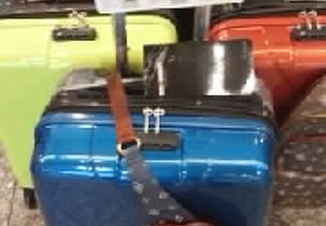 かわいいキャリーバッグみつけました