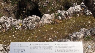 悲しい歴史の爪痕