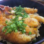 名物海老丼は完成された逸品！ そして地物の刺身はヨダレもの。