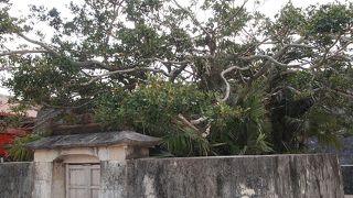 首里城内のうたき