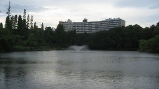 井の頭公園のシンボル