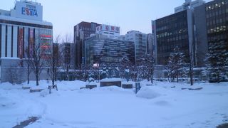 雪の中にたたずむ