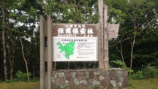 冬は閉鎖に、夏はハチに注意