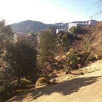 園庭は広く散策して楽しめました。