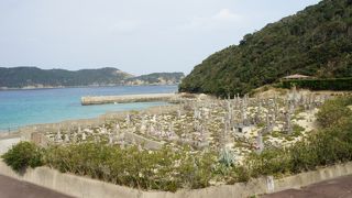 頭ケ島教会の海側にある墓地、十字架をかたどった墓標が海辺に立ち並んでいる