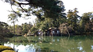 霞ヶ池に浮かぶお茶屋さん!!