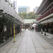 おっ…意外に広そうだ