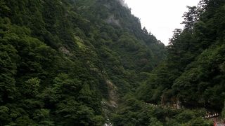 夏は涼しさを求めて