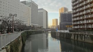 時々散歩しています