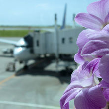 ゲートには花も。