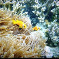 部屋からスグの海にて