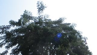 ワットポーの近くの公園