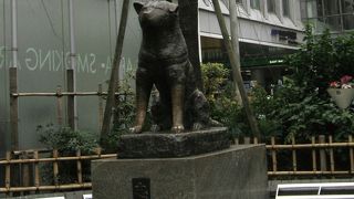 渋谷に旅できたら、まず見るところかな。