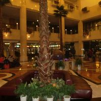 ロビーは吹き抜けタイプで豪華です