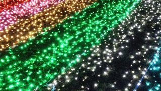 起伏のあるところから見るイルミネーションはきれいです