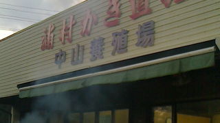 浦村かき、早朝から大賑わい！