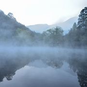 朝霧の金鱗湖