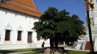 静かで落ち着いたお寺です