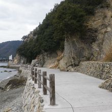 海岸沿いの遊歩道を歩きます