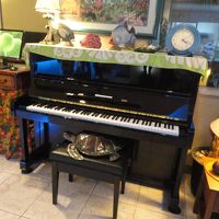 ホテルのフロントにはカメとピアノがおいてありました