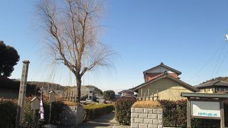 むらさき麦の里