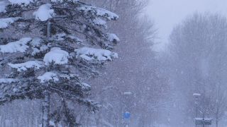 第二農場から西に抜ける遊歩道