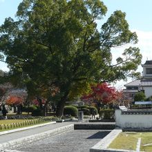 公園内