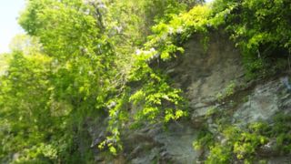 急流下りはやっぱり面白い。