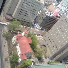 札幌市役所屋上から撮りました