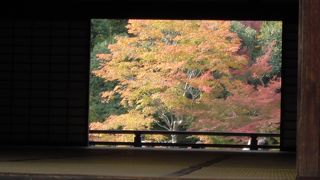 池越しの紅葉が綺麗です