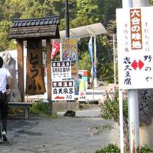 六合 野のや