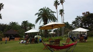 のんびり出来るし、ペットも入れます