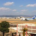 滑走路ド真横から眺める絶景！