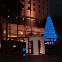 クリスマス前でしたので、ツリーが。