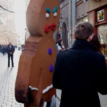 こんな物も出没（笑）