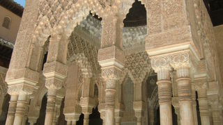 改装が終わったライオンですが。。。