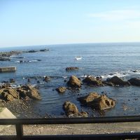 客室から見た景色