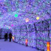 向かいの空地で,イルミネーションのイベントが!!