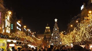 夜のイルミネーションも綺麗です