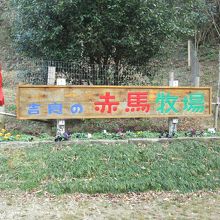 かわいい看板あり