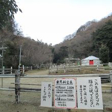 馬は待機しています