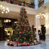 オーソドックスなクリスマスツリー